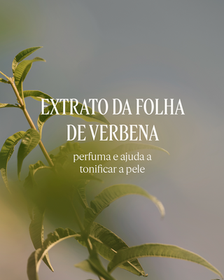 Sabonete L&iacute;quido Corporal Perfumado Verveine Agrumes 500mL (Verbena Citrus)